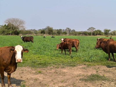 Visita a ensayos en Margarita Belén, Chaco