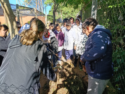 Capacitación en compostaje para niños