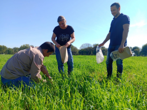 Seguimiento de ensayos en Margarita Belén, Chaco