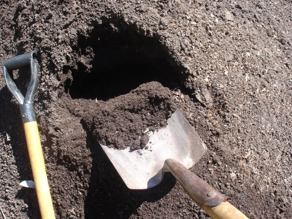 Llega el mes del compostaje