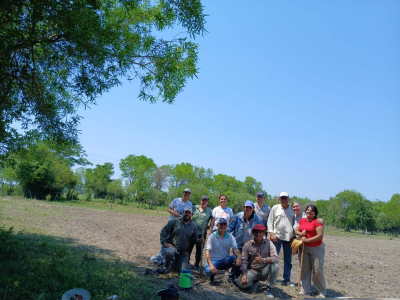 Se sembró un nuevo ensayo con pasturas inoculadas