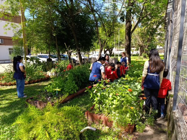 Jardineritos de la UNNE visitaron IAGRO y aprendieron en la huerta didáctica