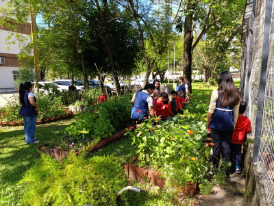 Jardineritos de la UNNE visitaron IAGRO y aprendieron en la huerta didáctica